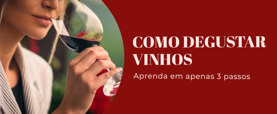 Como degustar vinho: aprenda em apenas 3 passos