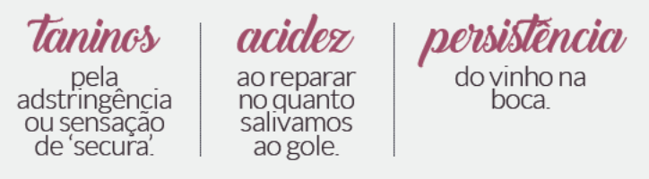 como degustar vinho