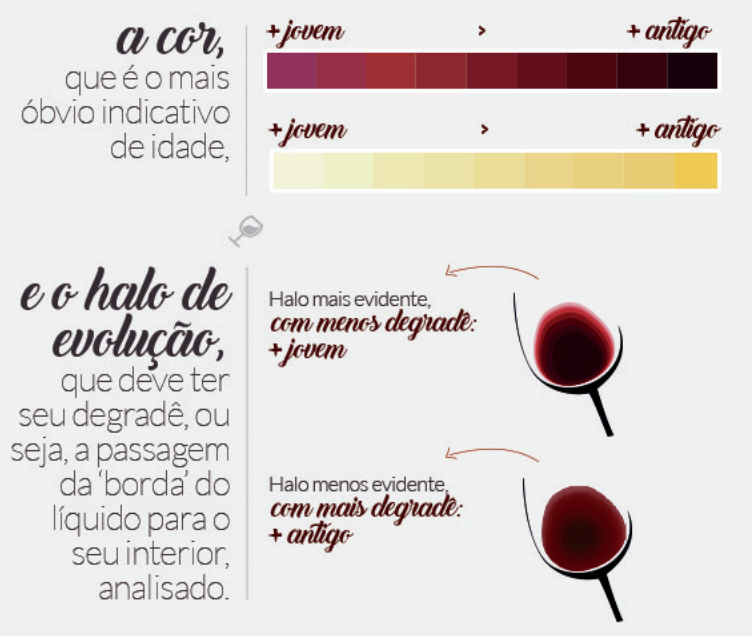 como degustar vinho