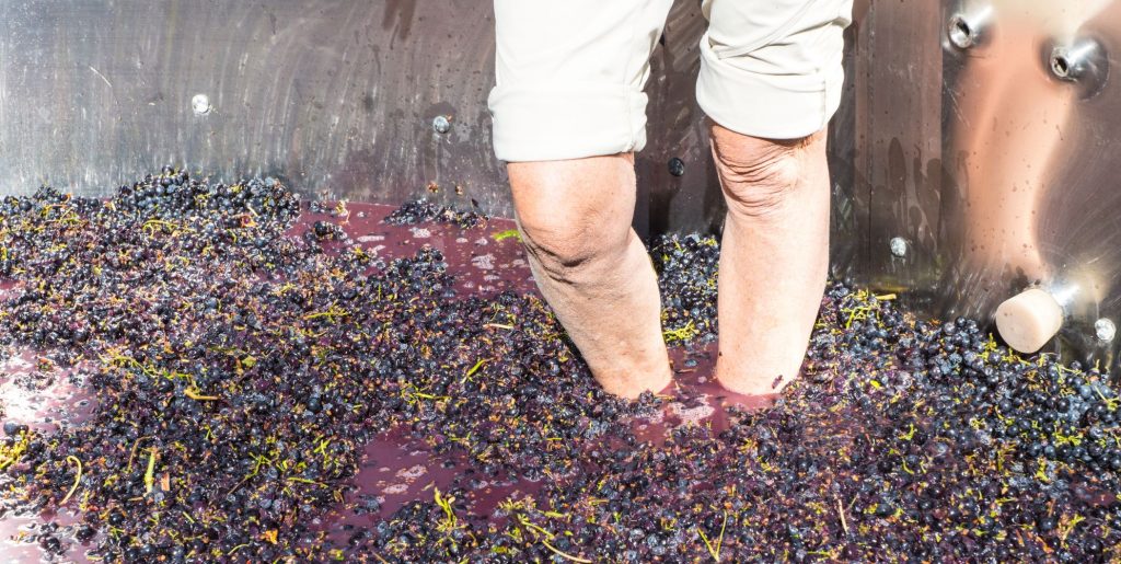 dia internacional da mulher vinho