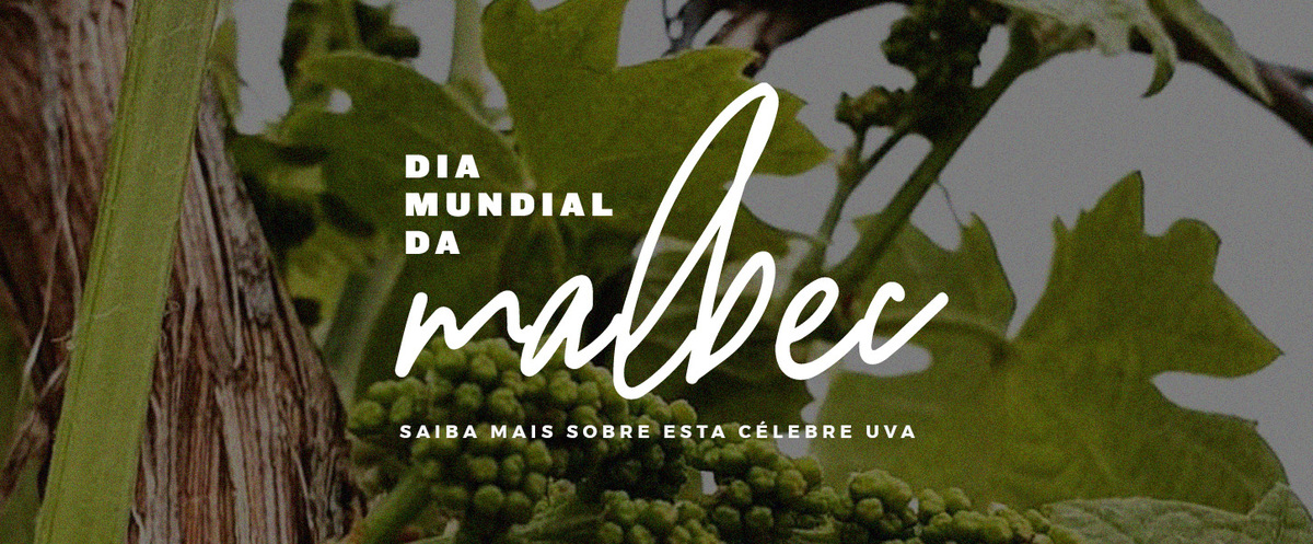 ESPECIAL: DIA MUNDIAL DA MALBEC