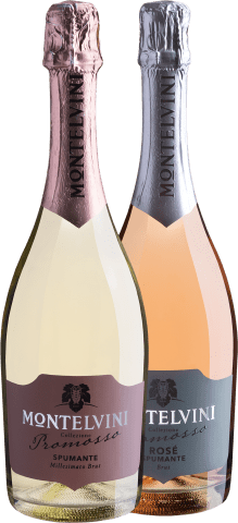 lançamento de maio evino