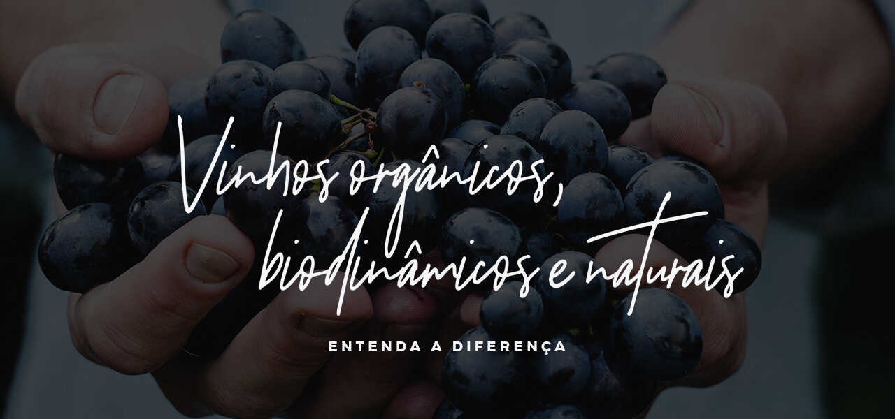 Vinhos orgânicos, biodinâmicos e naturais: entenda a diferença