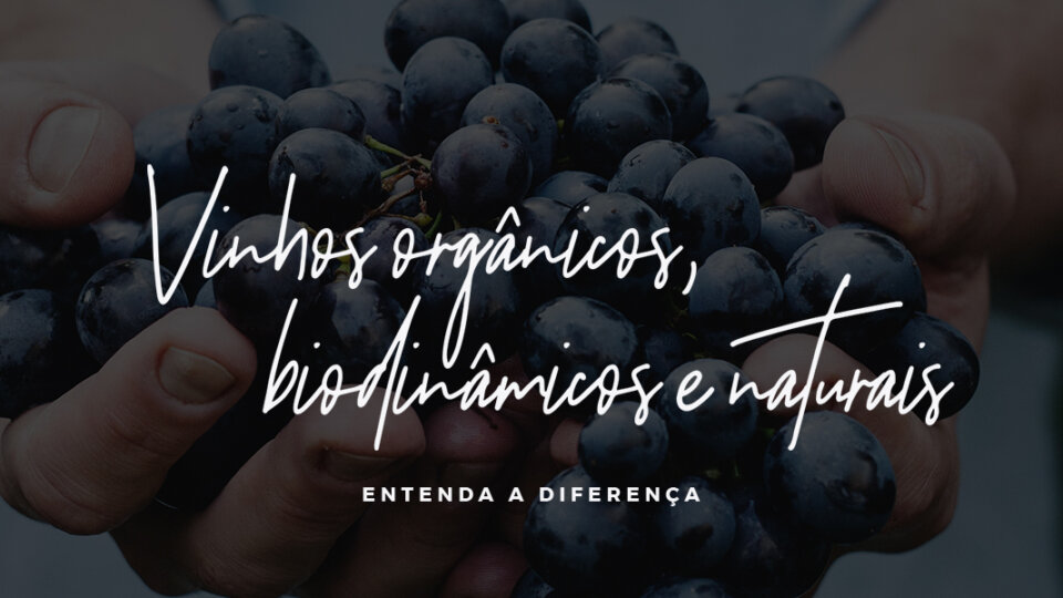 Vinhos orgânicos, biodinâmicos e naturais: entenda a diferença