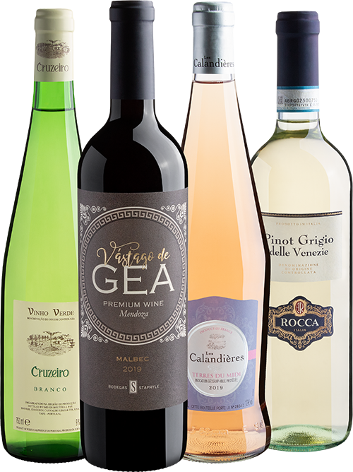 kit curso de vinho