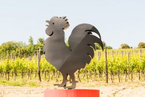 Estatua do Gallo Nero em frente aos vinhedos de Chianti