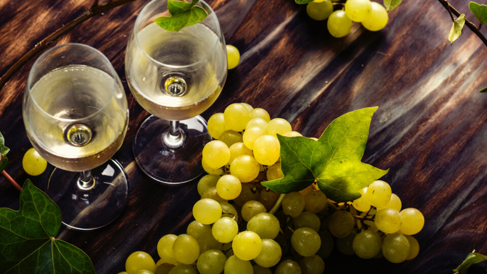 Tudo Sobre a Sauvignon Blanc: Características, Regiões e Harmonização