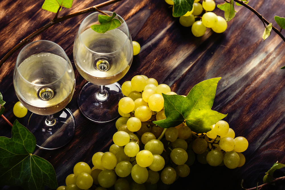 Tudo Sobre a Sauvignon Blanc: Características, Regiões e Harmonização