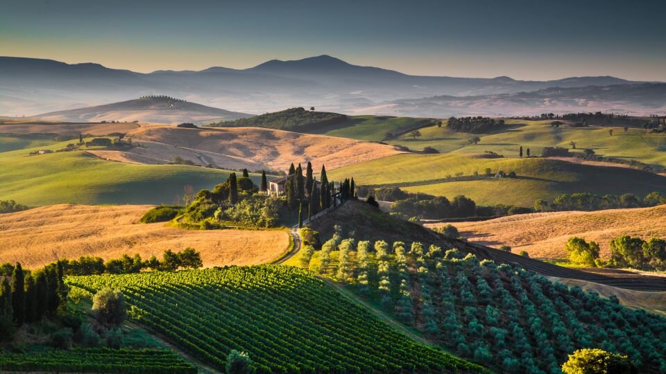Vinhos da Toscana: uvas locais, vinhos italianos e mais