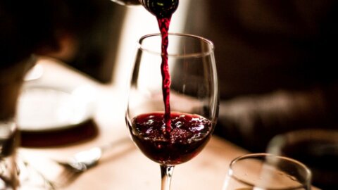 Guia Vinho Tinto: O que é, Produção, Uvas e mais | Evino