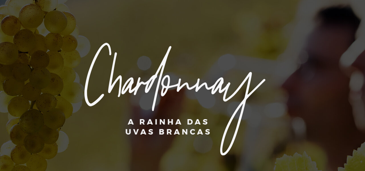 Chardonnay: tudo sobre a uva rainha dos vinhos brancos