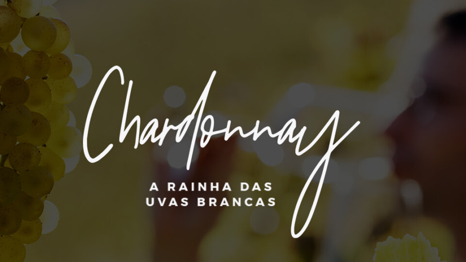 Chardonnay: tudo sobre a uva rainha dos vinhos brancos