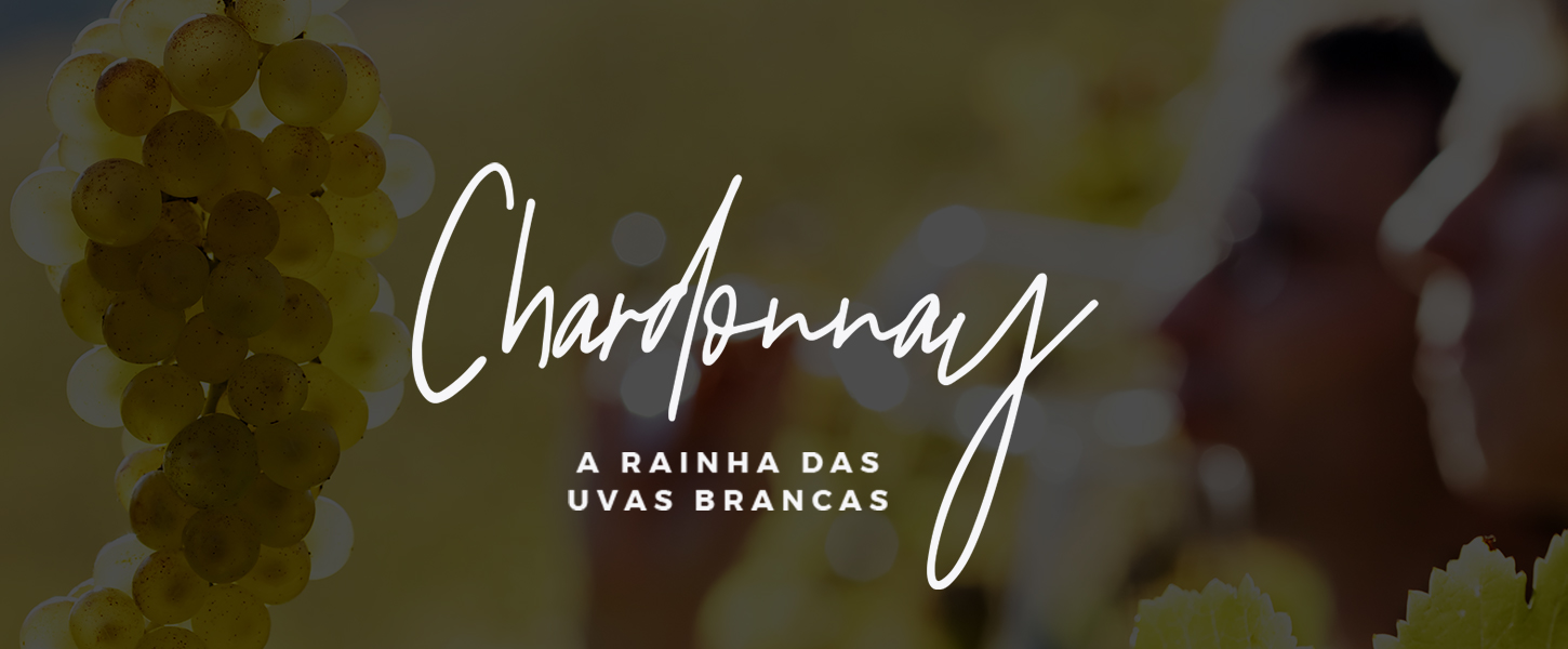 Chardonnay: tudo sobre a uva rainha dos vinhos brancos - Evino