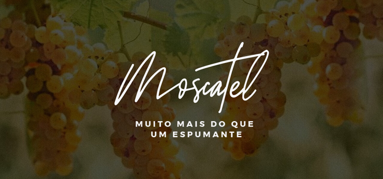 Moscatel: conheça a uva e suas características!