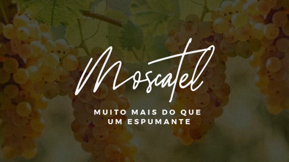 Moscatel: conheça a uva e suas características!