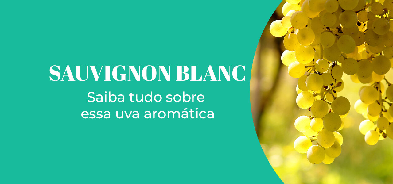 Sauvignon Blanc: saiba tudo sobre essa uva aromática