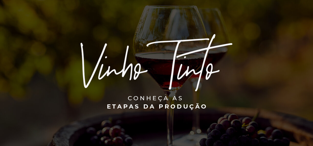 Vinho tinto: conheça as etapas da produção