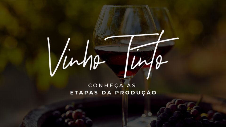 Vinho tinto: conheça as etapas da produção