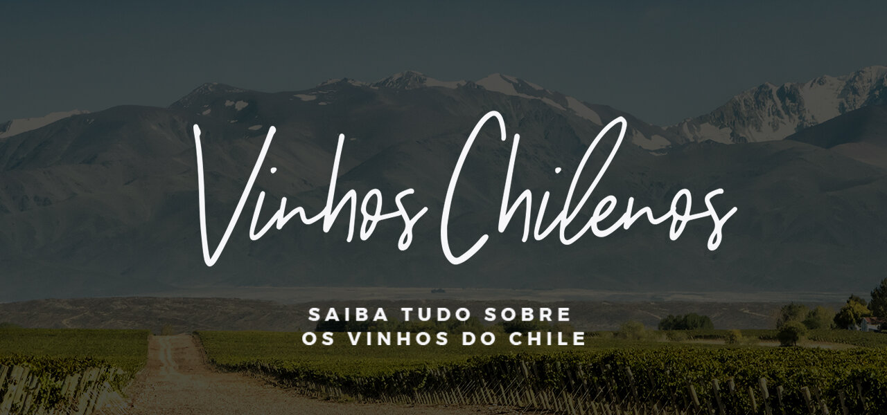 Vinhos chilenos: saiba tudo sobre a bebida no país