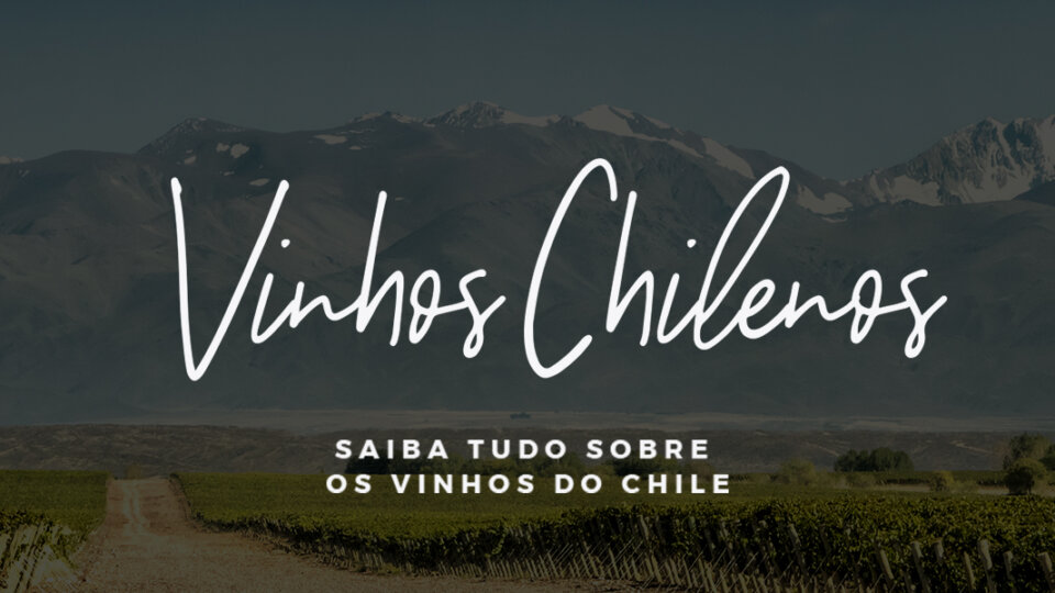 Vinhos chilenos: saiba tudo sobre a bebida no país