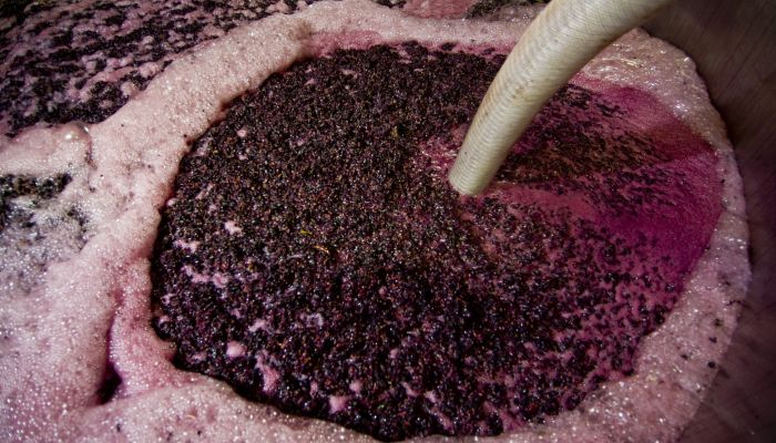 Fermentação do vinho acontecendo em um tanque