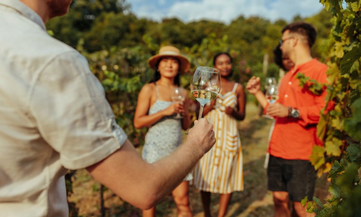 Caminho do vinho: saiba mais sobre essa rota incrível para quem ama vinhos!