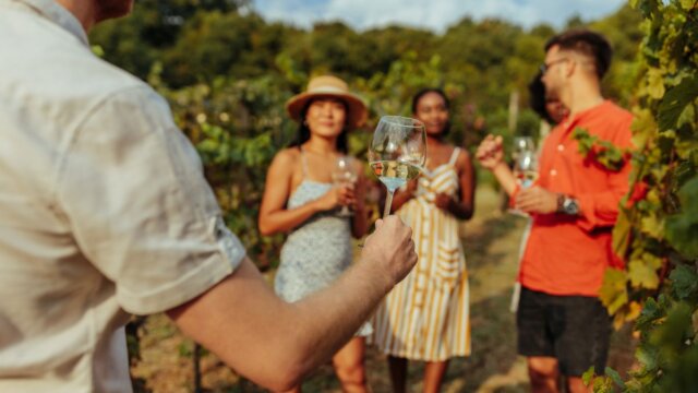 Caminho do vinho: saiba mais sobre essa rota incrível para quem ama vinhos!