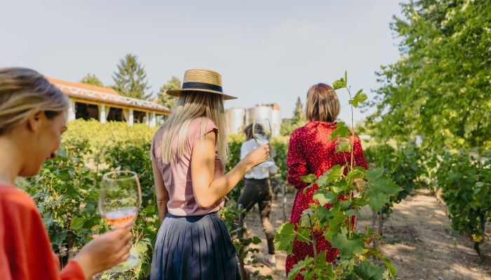 Visita guiada às vinícolas do Caminho do Vinho