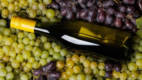 Vinhos Blend: história, características e harmonização