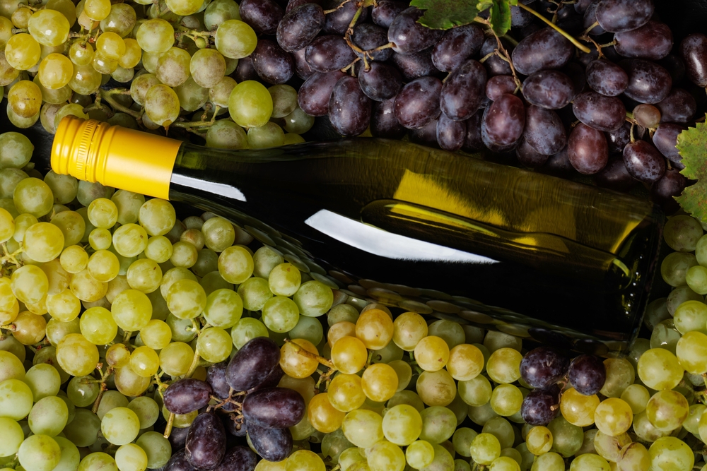 Vinhos Blend: história, características e harmonização